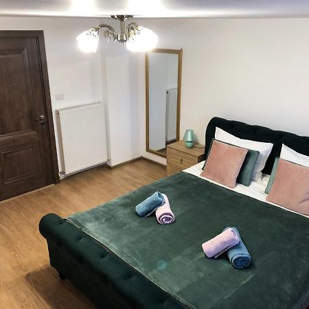 Ultra Central Apartment, Free Parking Oradea - Stray Cats Εξωτερικό φωτογραφία